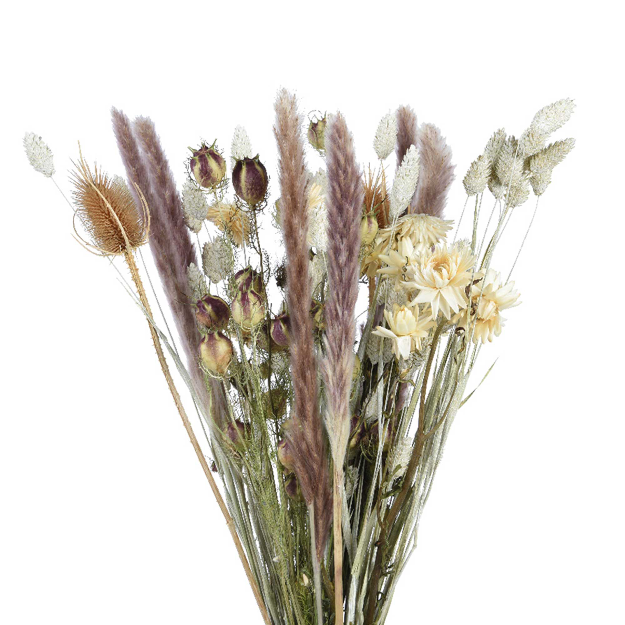Auburn Dried Bouquet | Barker & Stonehouse