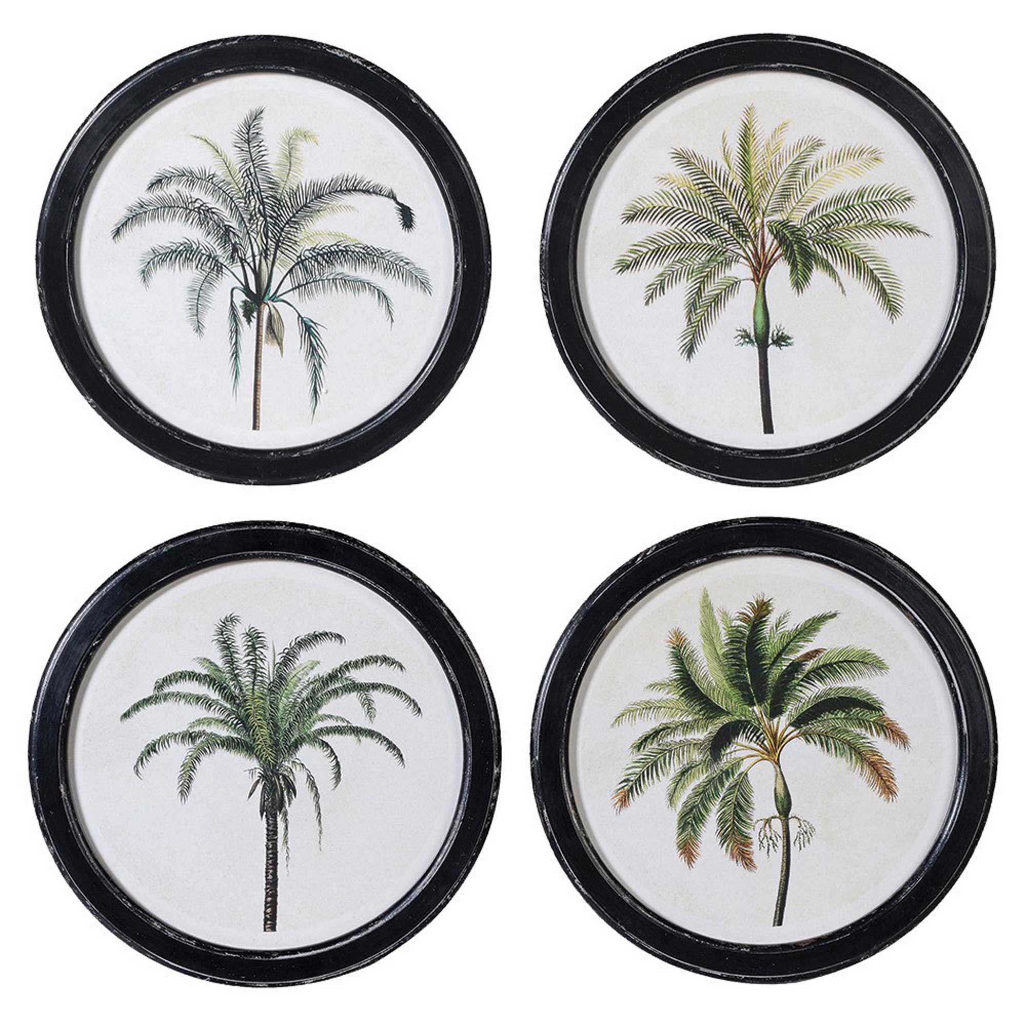 Set of 4 Round Palm Pictures Print, Round | Barker & Stonehouse