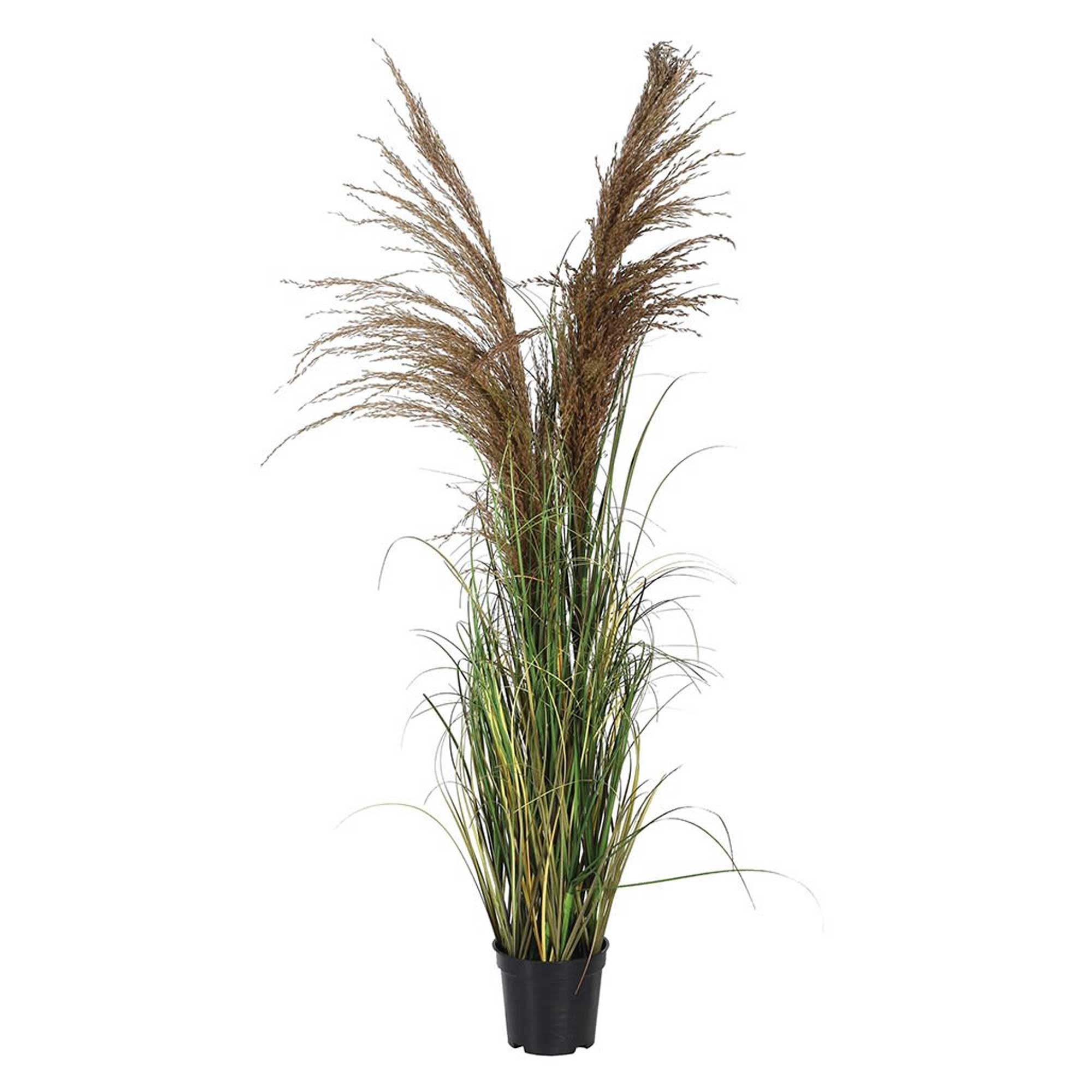 Faux Wheat Onion Grass Plant | Barker & Stonehouse