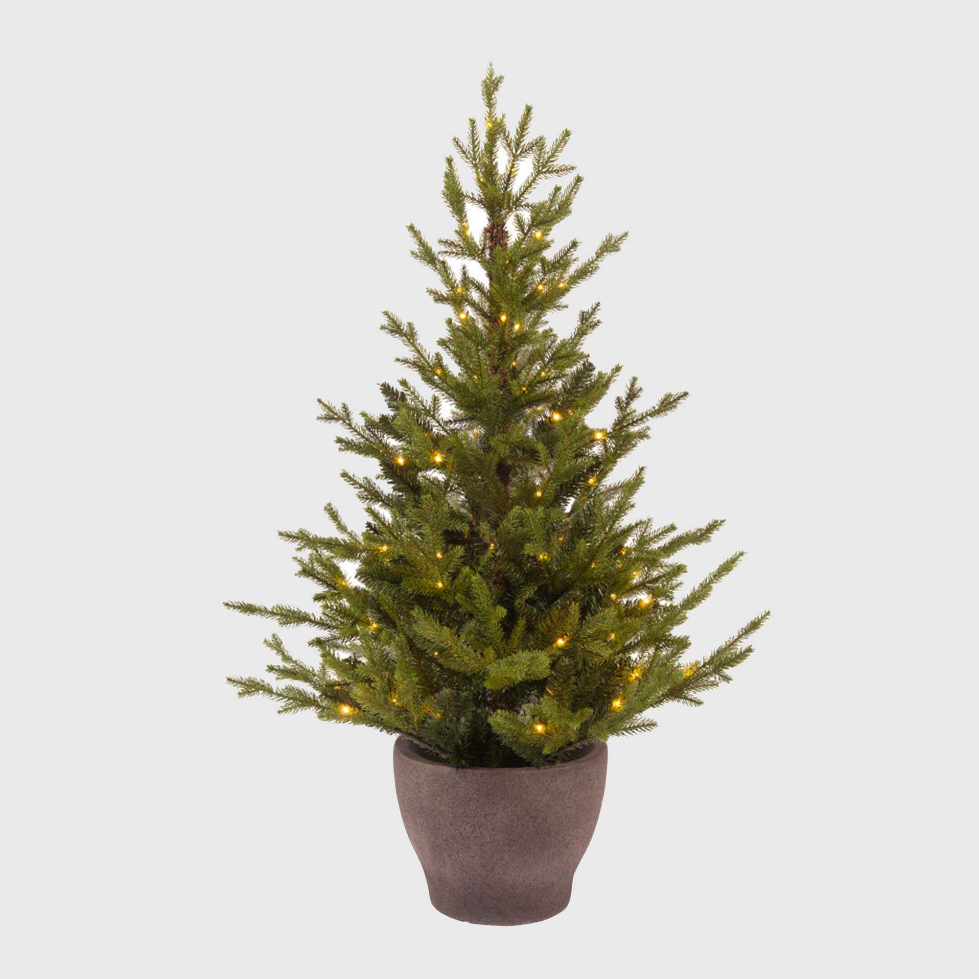 Potted Fir Tree, Green | Barker & Stonehouse