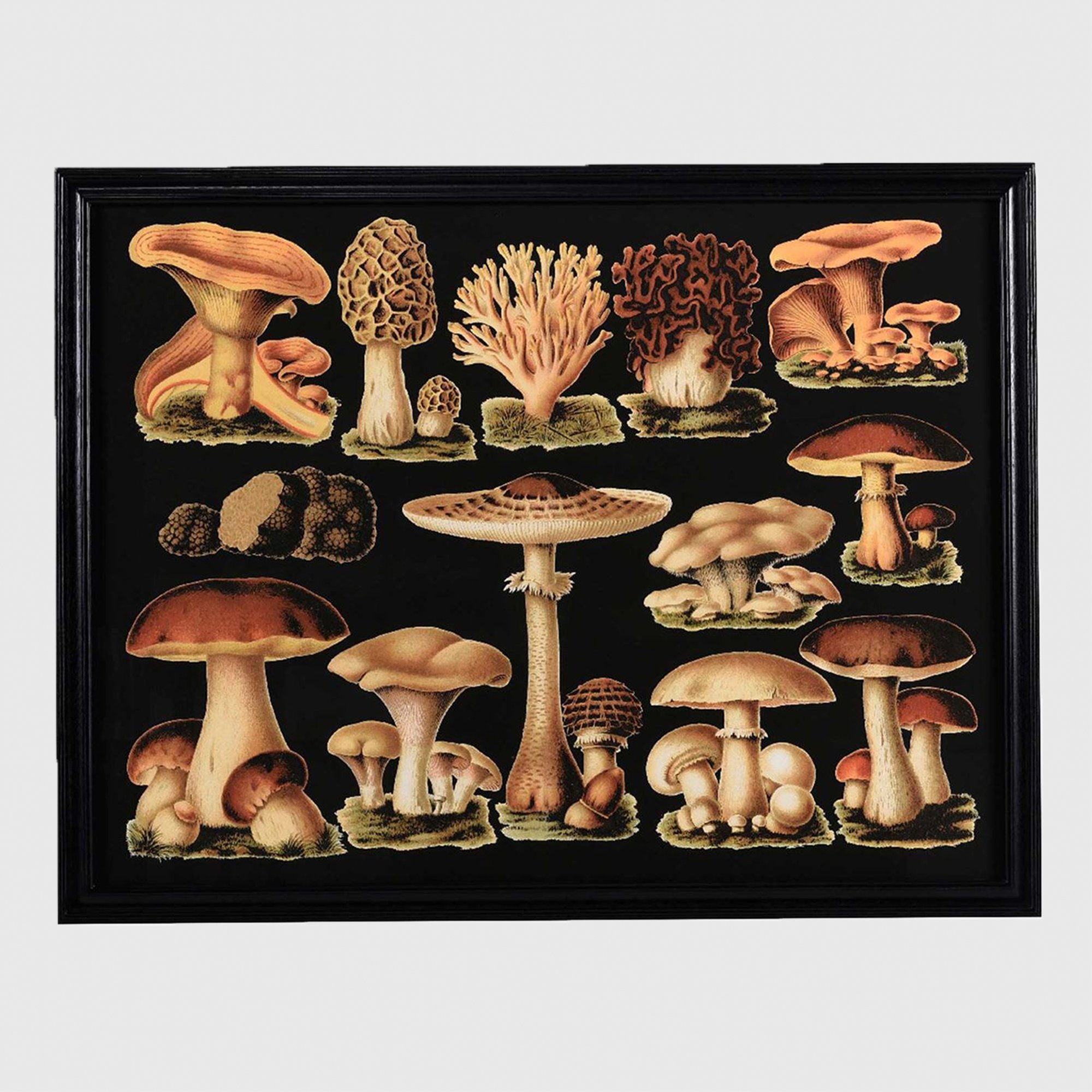 Timothy Oulton Mushroom Art Print, Square, Black | Barker & Stonehouse