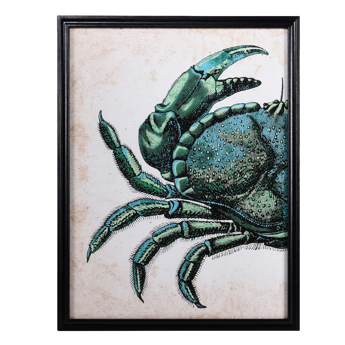 Timothy Oulton Left Crab Art 100x130cm Print, Square | Barker & Stonehouse