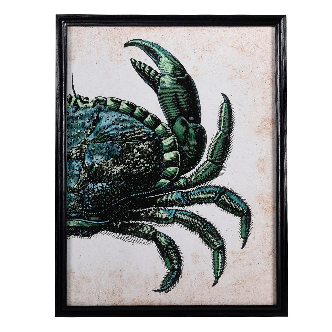 Timothy Oulton Right Crab Art 100x130cm Print, Square | Barker & Stonehouse