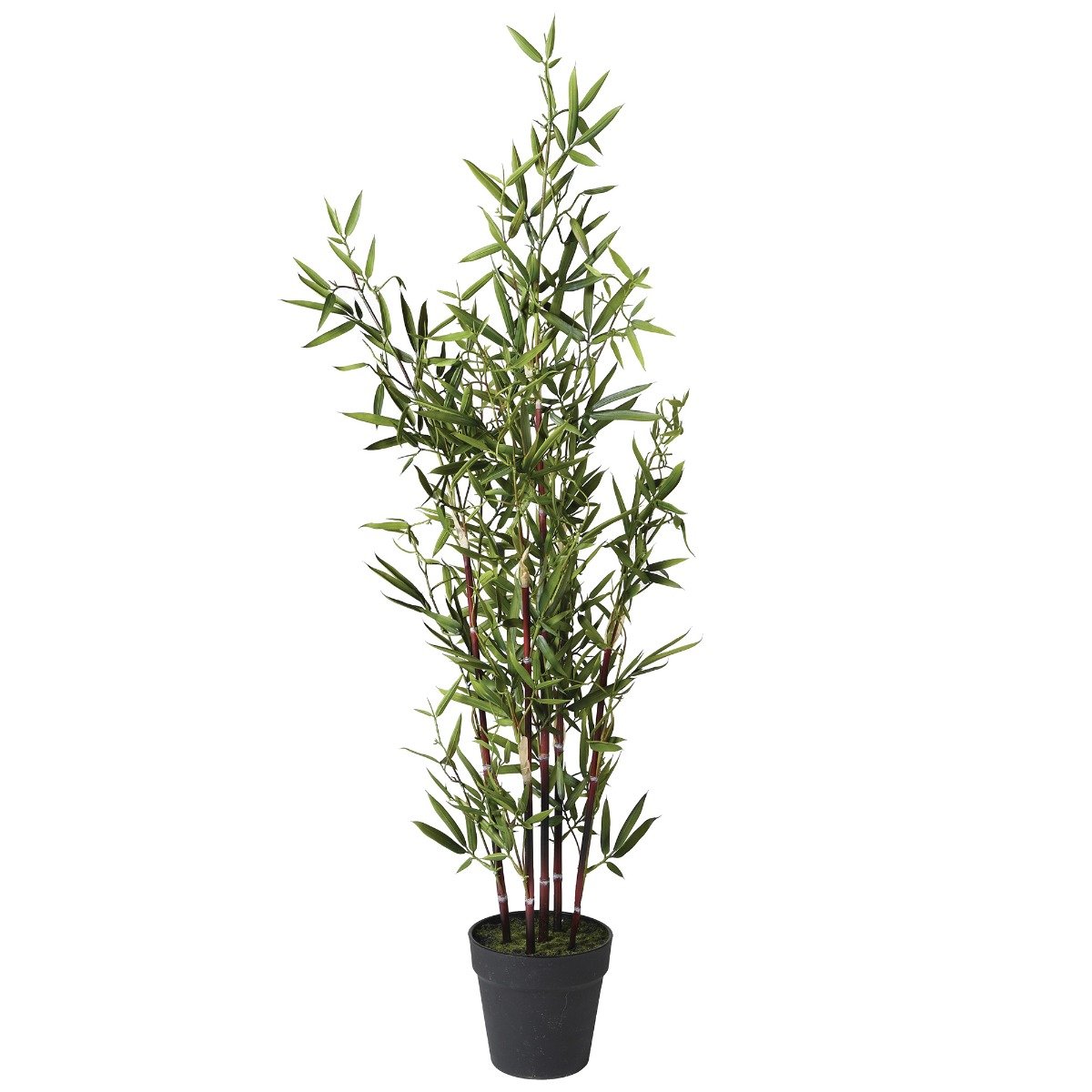 Potted Bamboo Tree, Green Metal | Barker & Stonehouse
