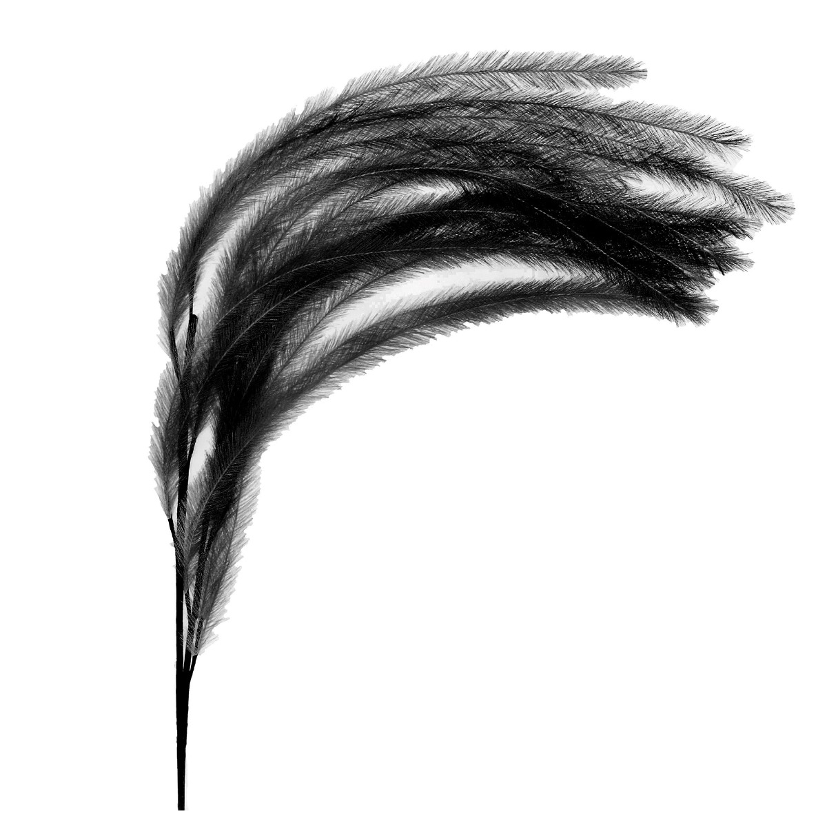 Black Faux Feather Plume Metal | Barker & Stonehouse