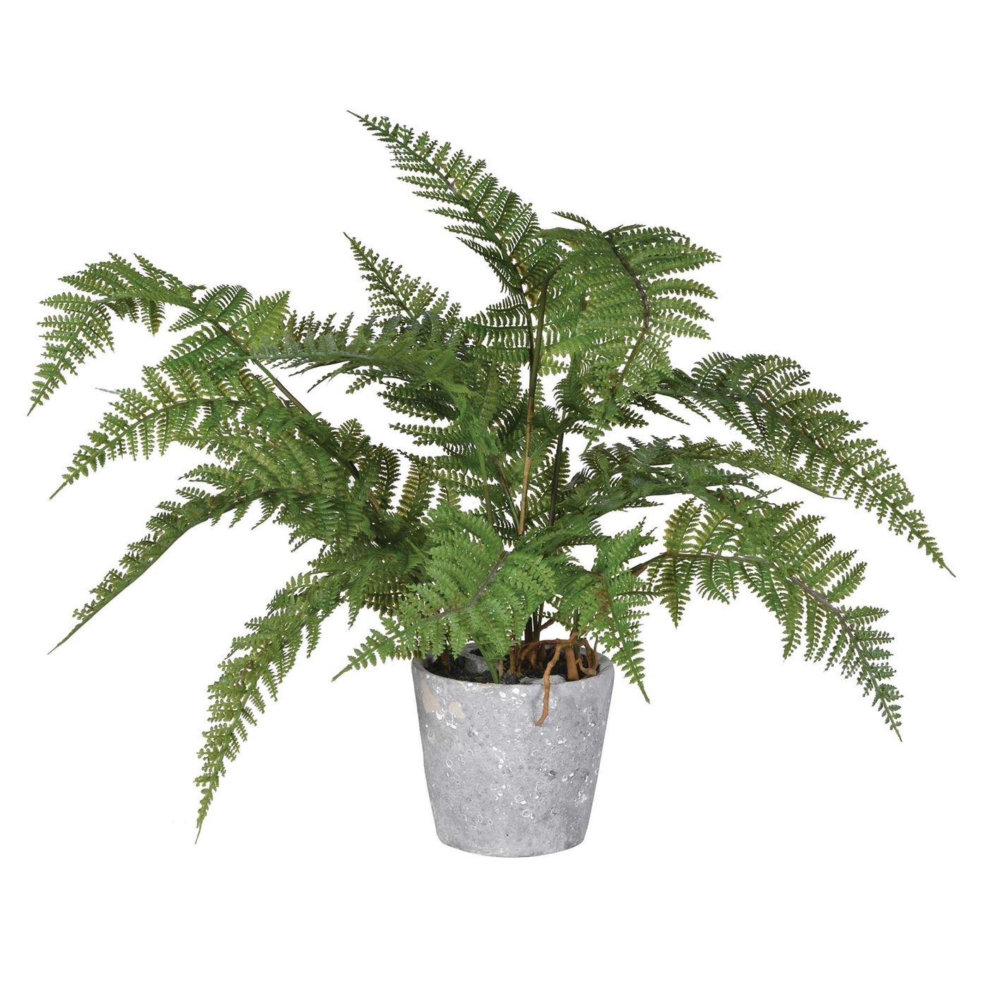 Artificial Boston Fern, Faux Potted Fern Embossed Concrete Display