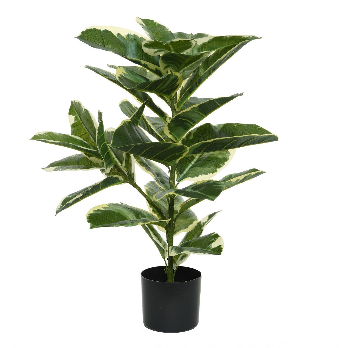 Photo of Faux rubber plant in green