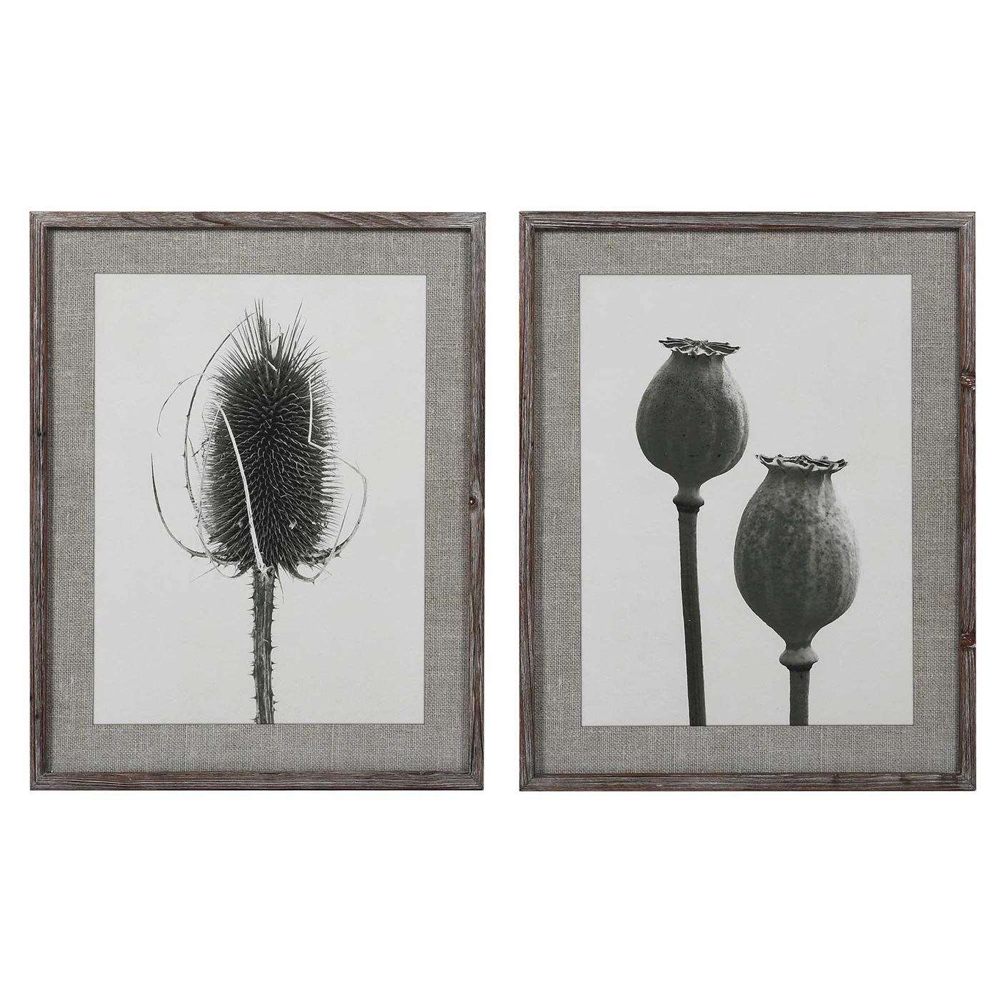 Set of 2 Poppy Prints Print, Square | Barker & Stonehouse