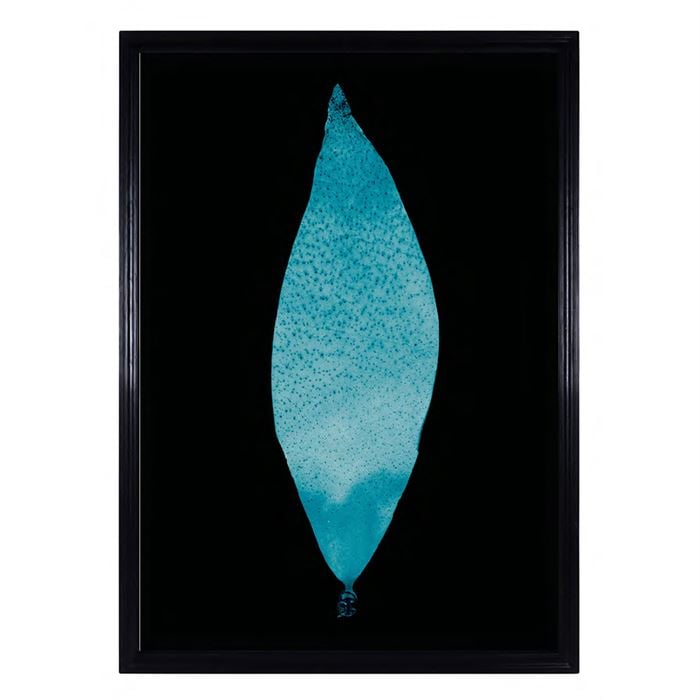 Timothy Oulton Sealife Blue Flat Art Print, Square, Black Wood | Barker & Stonehouse