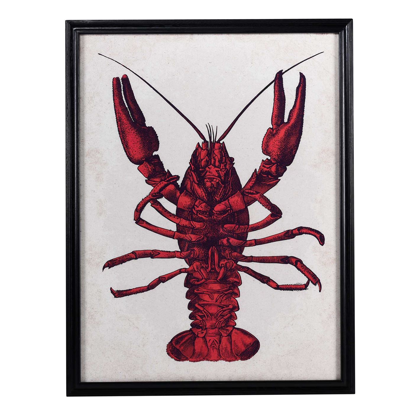 Timothy Oulton Lobster Art Print, Square | Barker & Stonehouse
