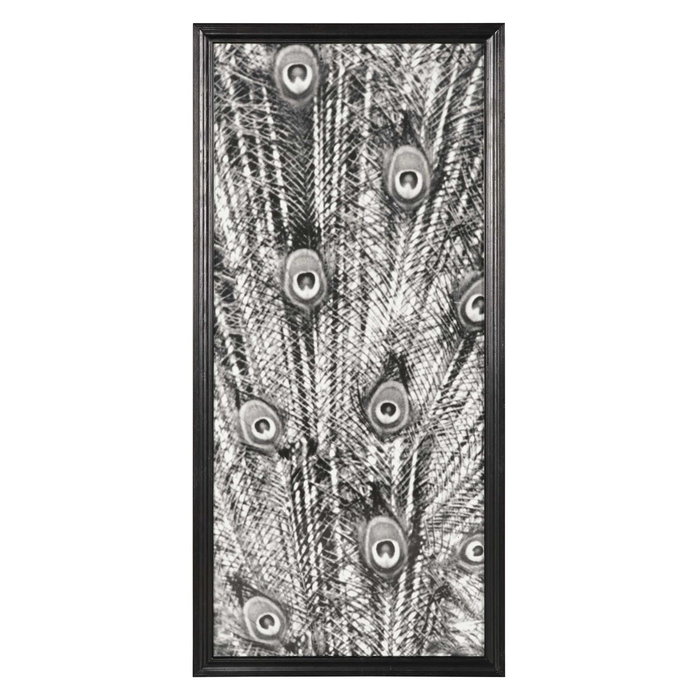 Timothy Oulton Animal Peacock Photo Bw Center Art Print, Square, Black | Barker & Stonehouse